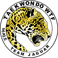 Taekwondo klub Praha – TKD pro děti